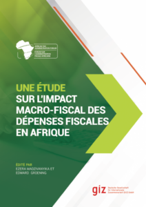 Une étude sur l'impact macro-budgétaire des dépenses fiscales en Afrique