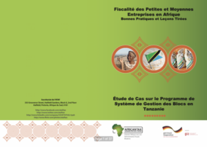 Étude de cas du système de gestion des blocs (BMS) en Tanzanie