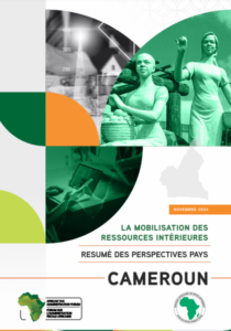 La Mobilisation Des Ressources Intérieures CAMEROUN