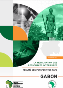 La Mobilisation Des Ressources Intérieures GABON